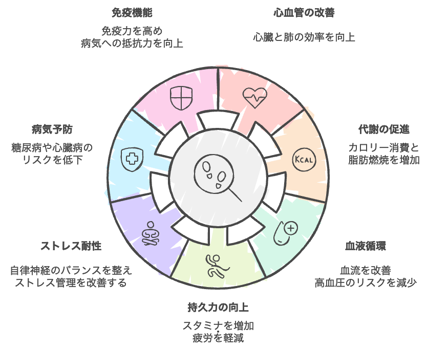 運動の健康効果