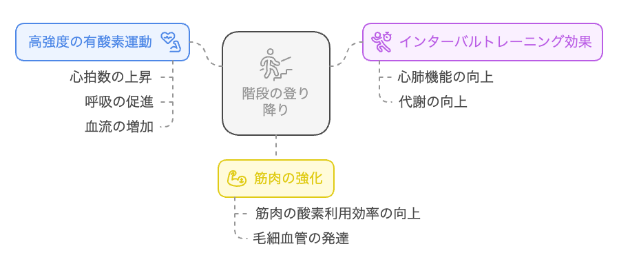 階段の登り降りの健康効果