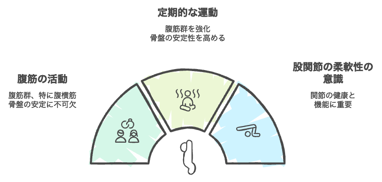 骨盤の安定性と股関節の健康