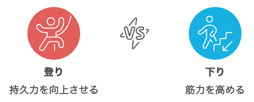 階段の登り降りにおけるコアマッスルに対する効果の差異