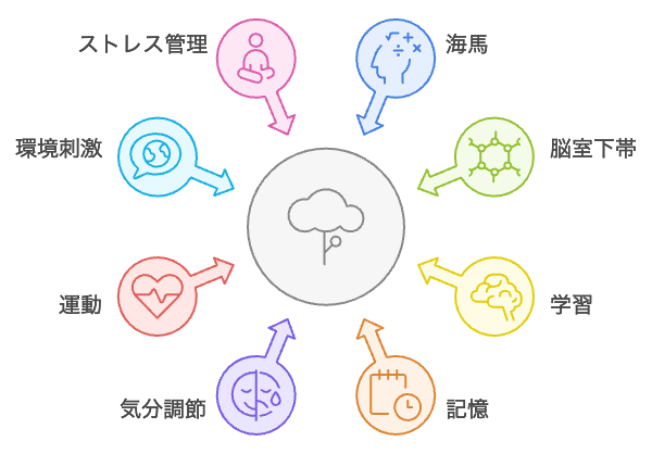 神経細胞の新生に影響を与える要因