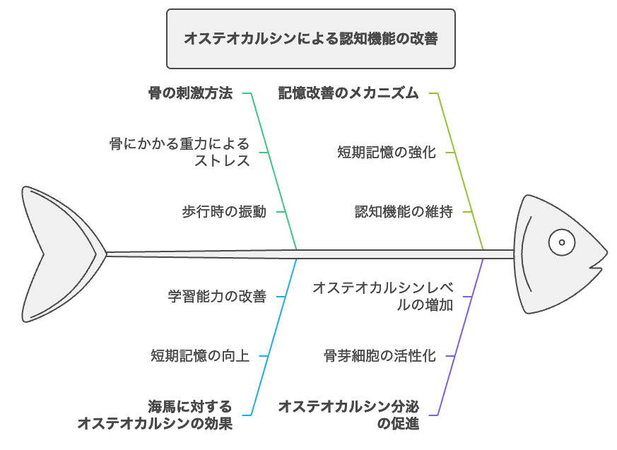 オステオカルシンによる認知機能の改善