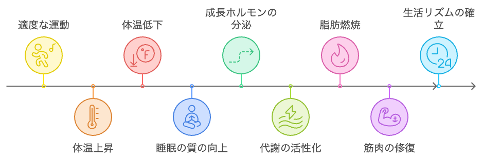 運動と生活習慣が睡眠と代謝に与える影響