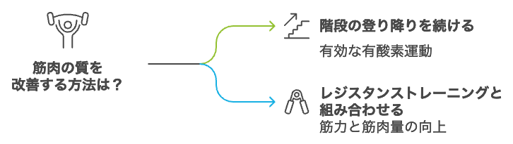 筋肉の質を改善する方法