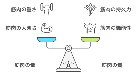 筋肉の量と質の違い