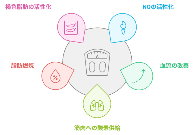 効果的な体重減少に寄与する要因