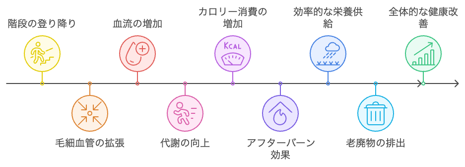 毛細血管活性化の健康効果