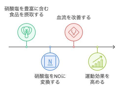 食事によるNO生成の促進