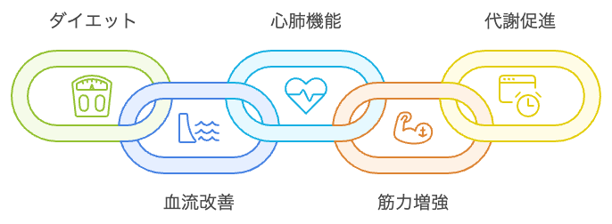 階段登り降りの健康効果