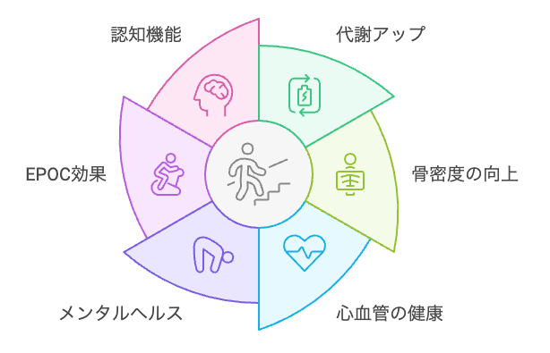 階段登りの包括的健康効果