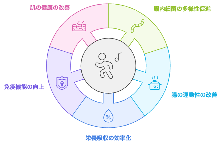 運動と腸の健康