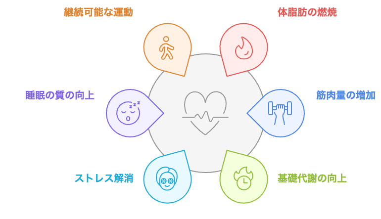 メタボ防止における運動の役割