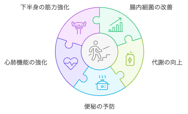 階段昇り降りの健康効果