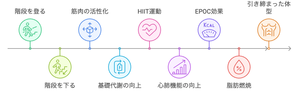 階段運動の利点