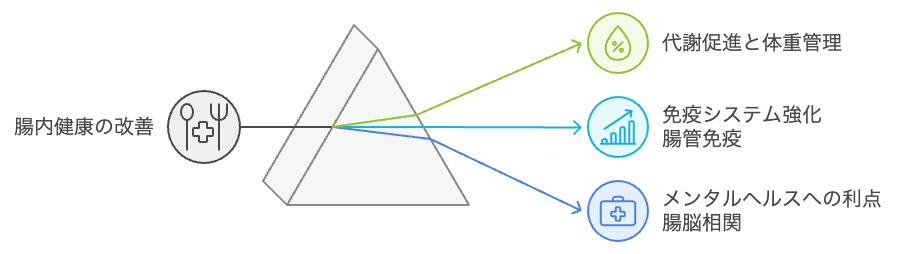 腸内健康の多面的な利点