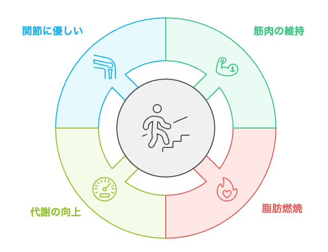 40代の階段運動の利点