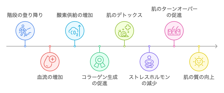 階段運動と肌の健康