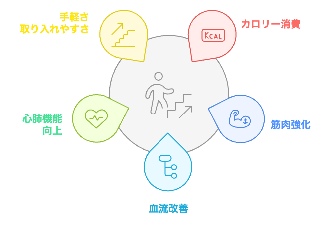 階段運動の健康への影響