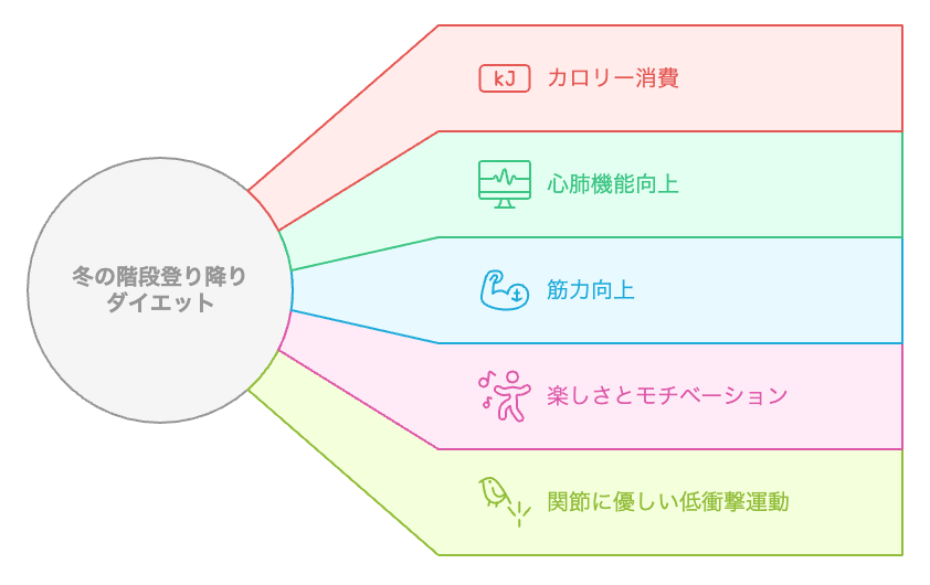 冬の階段エクササイズの多面的な利点