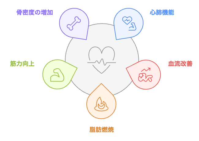 健康への階段運動の影響