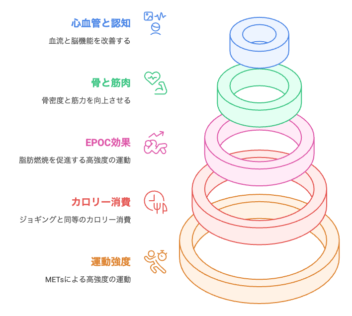 階段昇降の健康効果