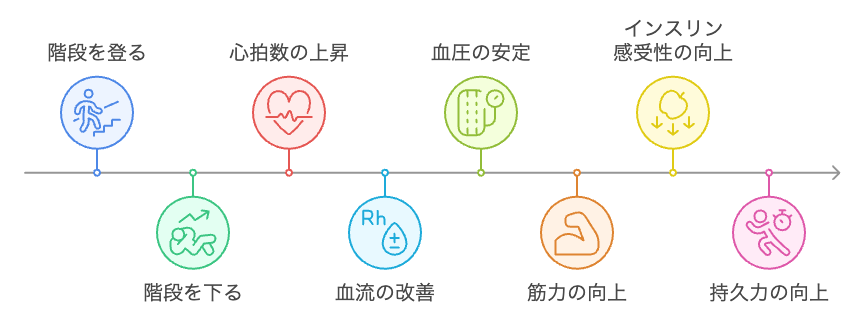 階段運動の健康上の利点