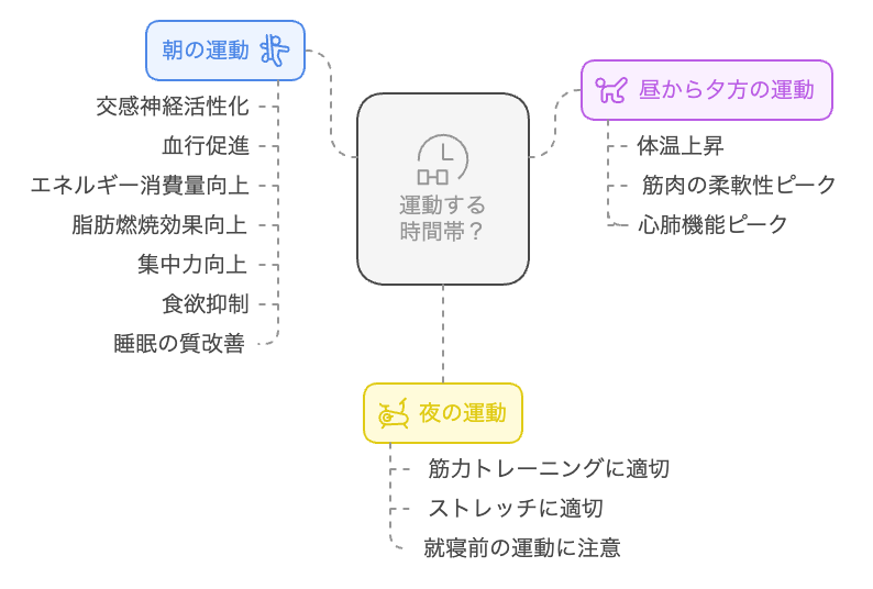 自律神経を整える運動の効果的な時間帯