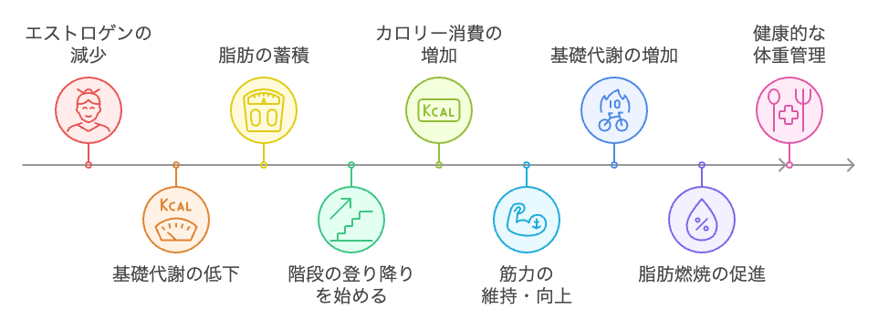 更年期のための階段ダイエットシーケンス