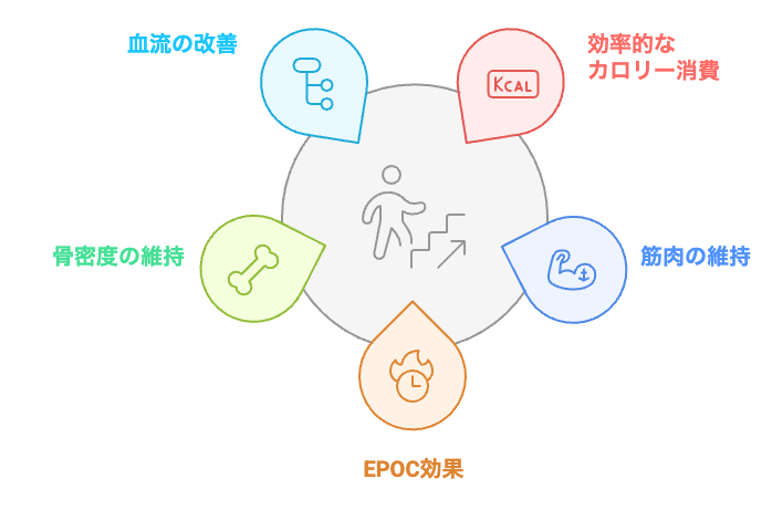 階段運動の健康効果