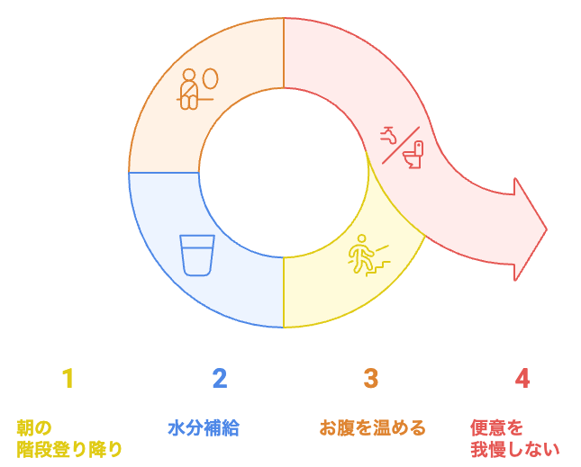 腸の健康と階段ダイエットサイクル