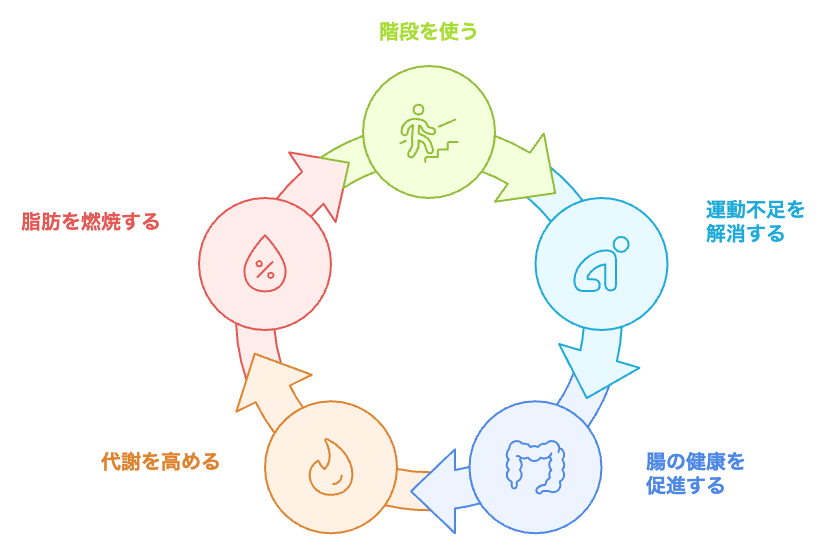 階段ダイエットの利点のサイクル