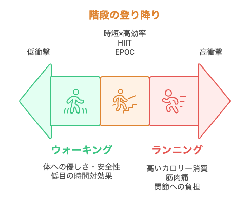 運動の選択肢を強度と影響に基づいて比較する