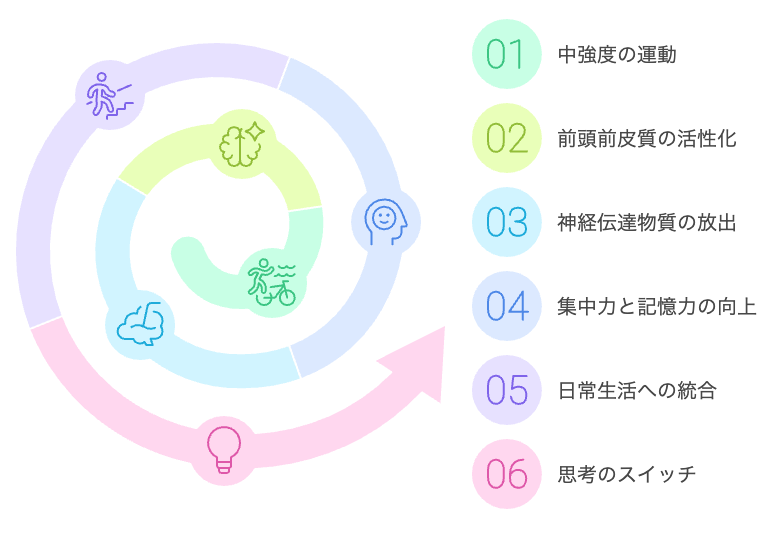 運動が脳機能を向上させる