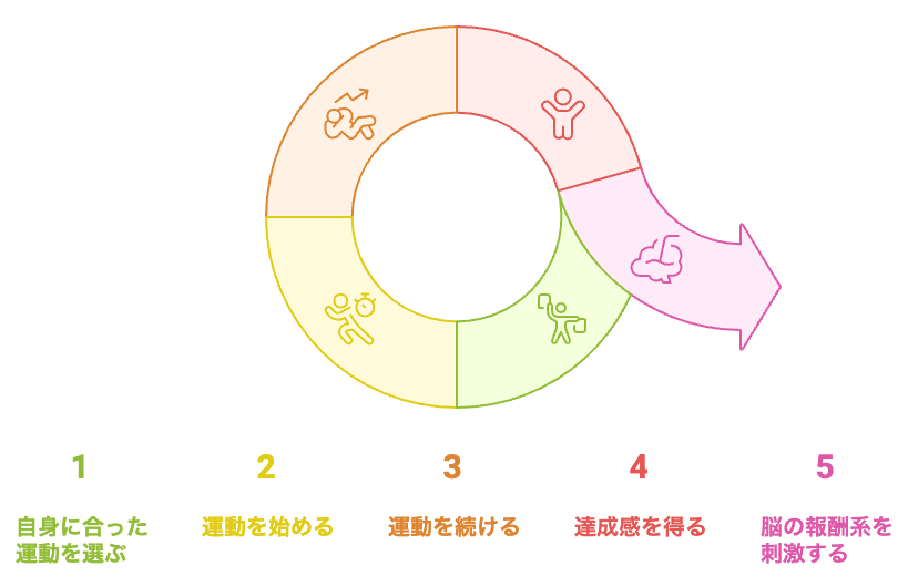 運動習慣のサイクル