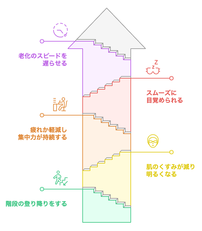 活力と若さへの旅