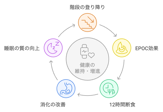 階段運動と断食のサイクル