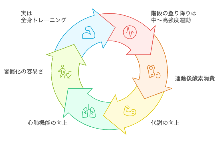 階段登りの複利効果