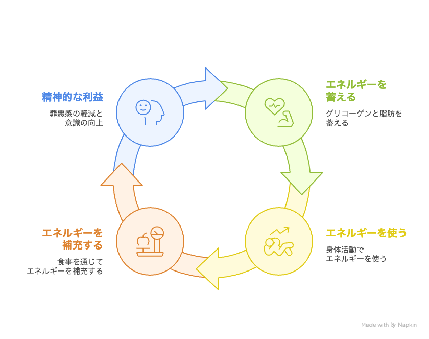 体内ローリングストックサイクル