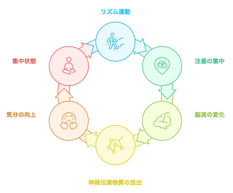 階段昇降の集中サイクル