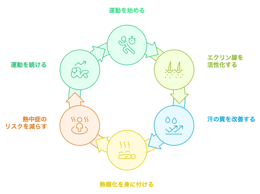 熱順化を達成する
