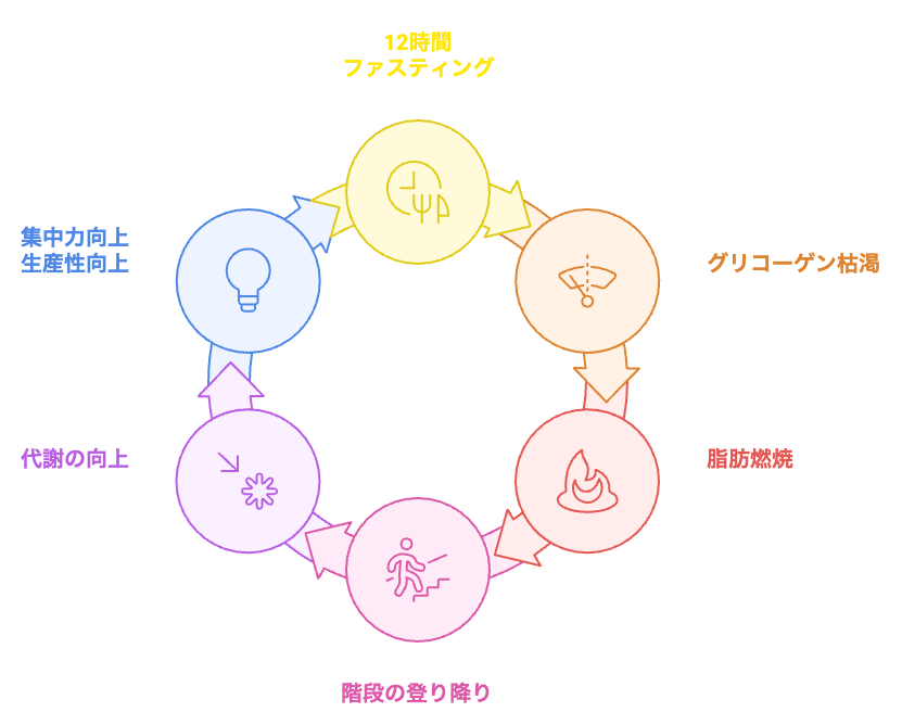 12時間ファスティングと階段昇降のサイクル