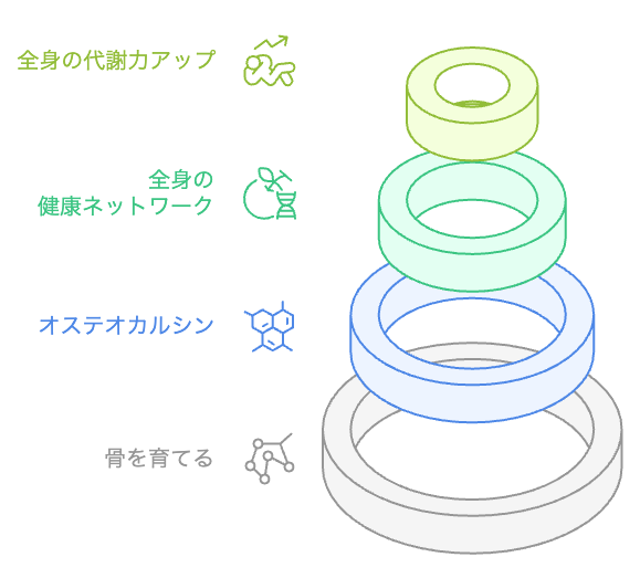 全身健康ネットワーク