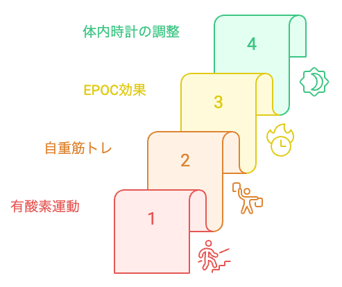健康と体内リズムのための階段昇降