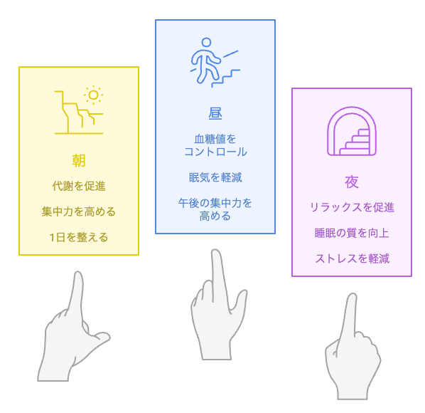 運動に最適な時間帯は?