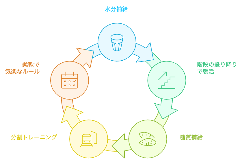 筋肉活性化と代謝向上サイクル