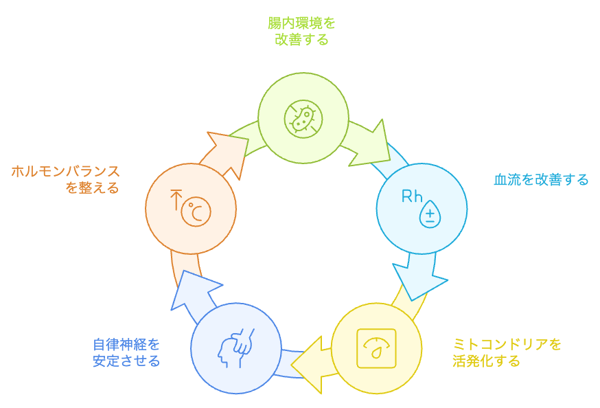 階段昇降による健康改善サイクル