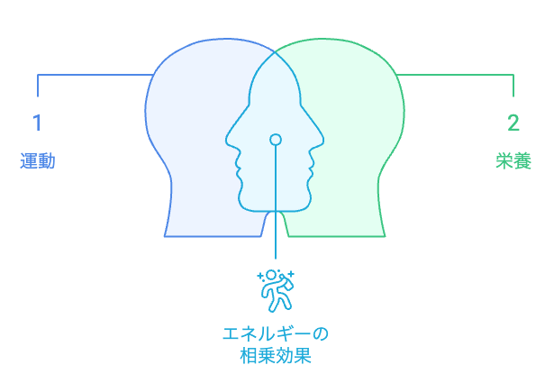 疲労回復のためのバランスの取れたアプローチ