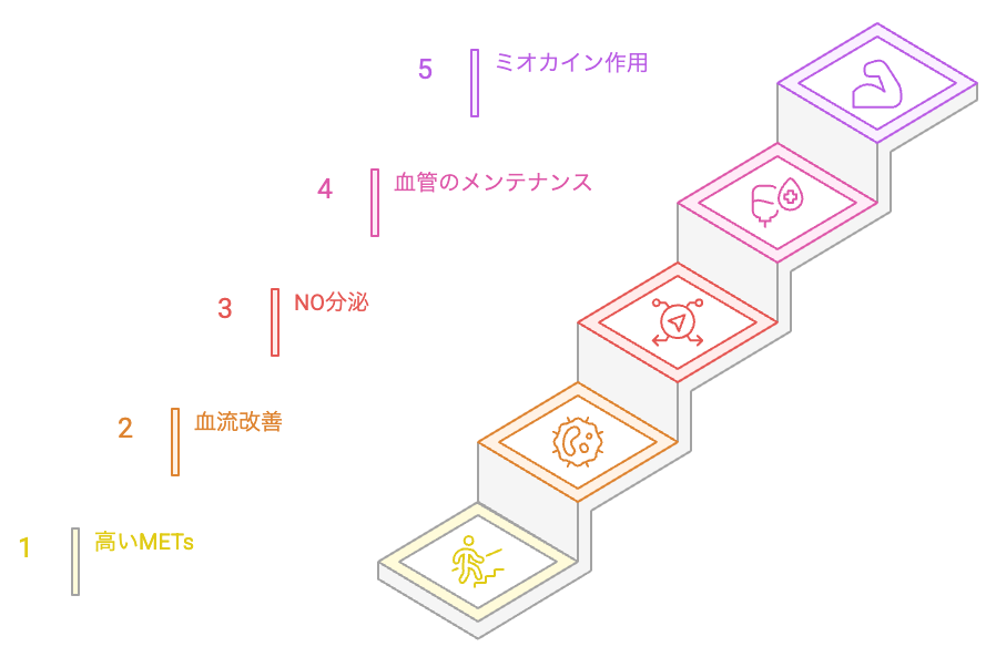 血圧を下げるための階段昇降