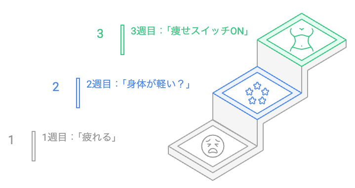 3週間のダイエットの進捗