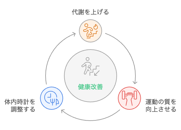 40代の健康改善サイクル